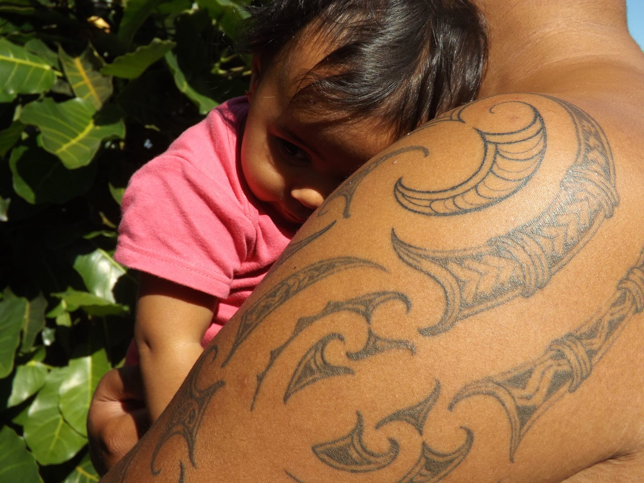 513484000_24390263253913611_4763816554487994958_n